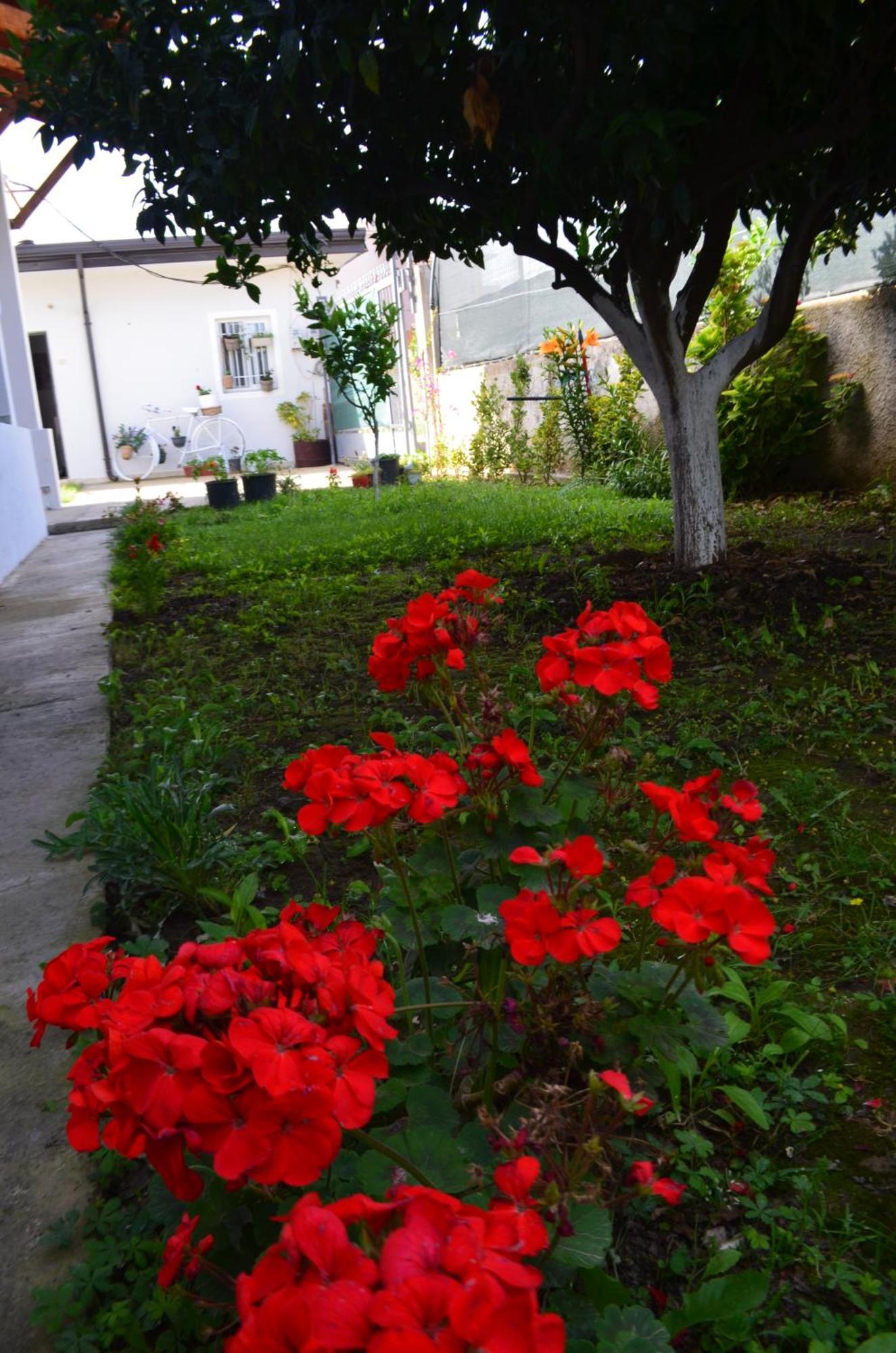 Rustic Tale Guesthouse Buitenkant foto
